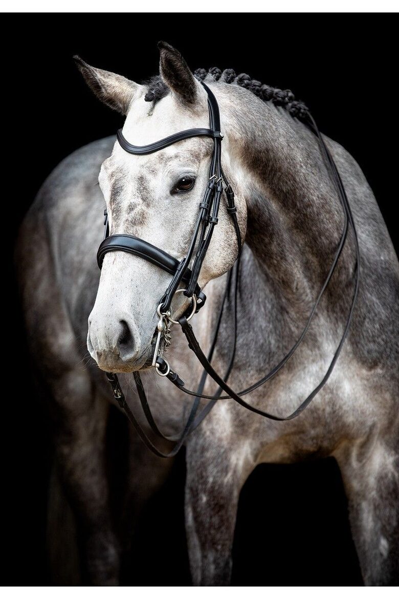 Double bridle Normandie ECO Leather - black