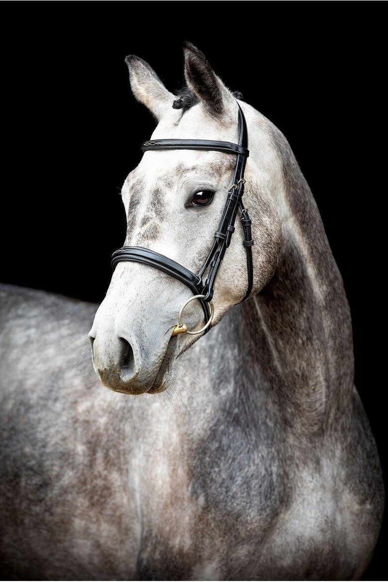 Hunter valjad, ECO nahast - must