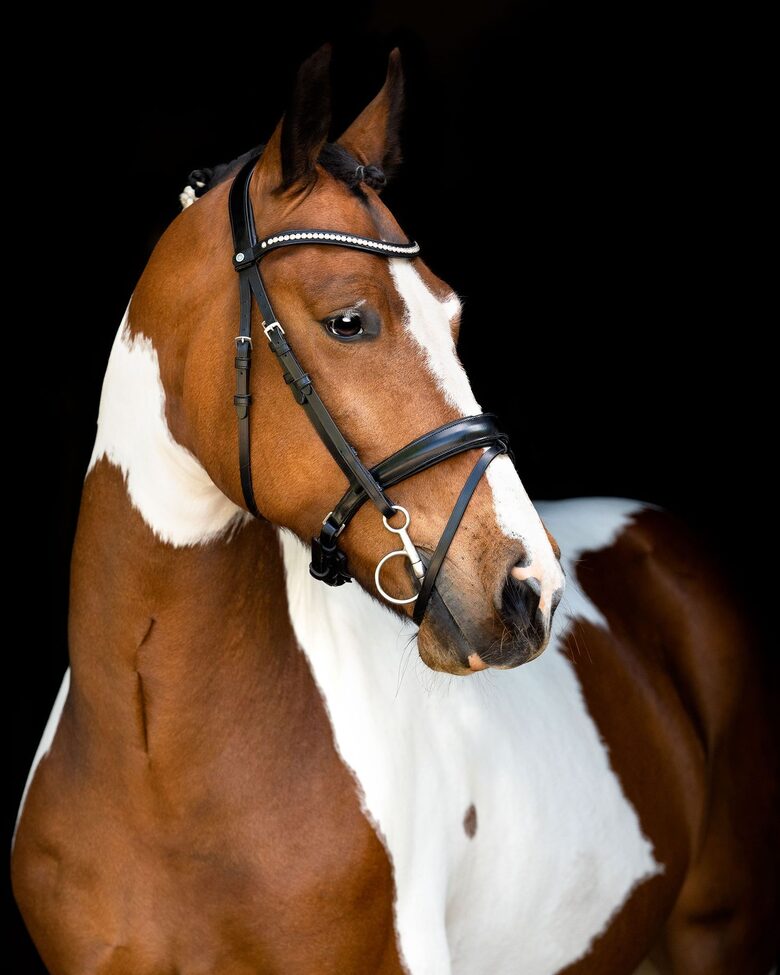 Fair Bridle w/anatomic Neckpiece - black