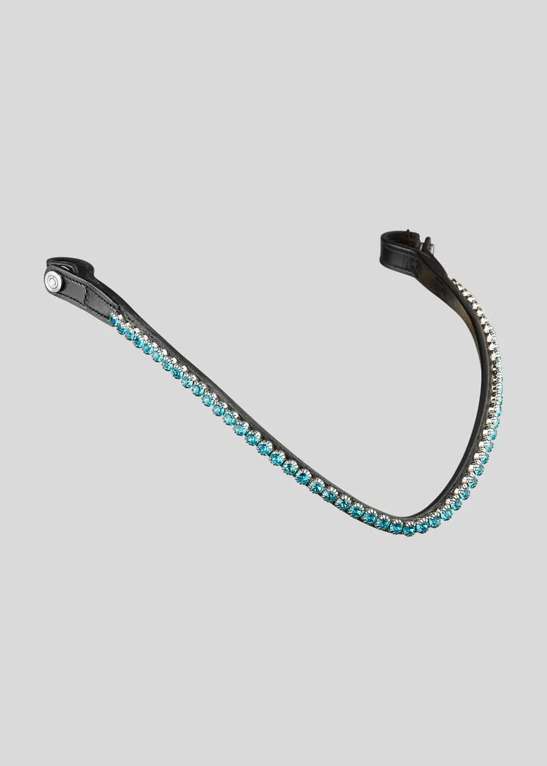 FAIR otsmikurihm - sinine