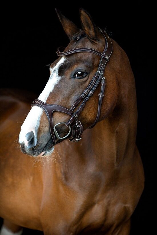 Monarch valjad TS, ECO nahk - pruun